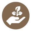 2022 pm icono13