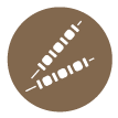 2022 pm icono3