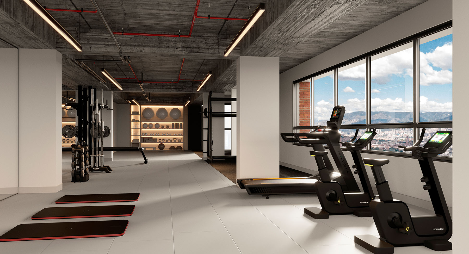 galeria-girasoles-cidelsur2-min